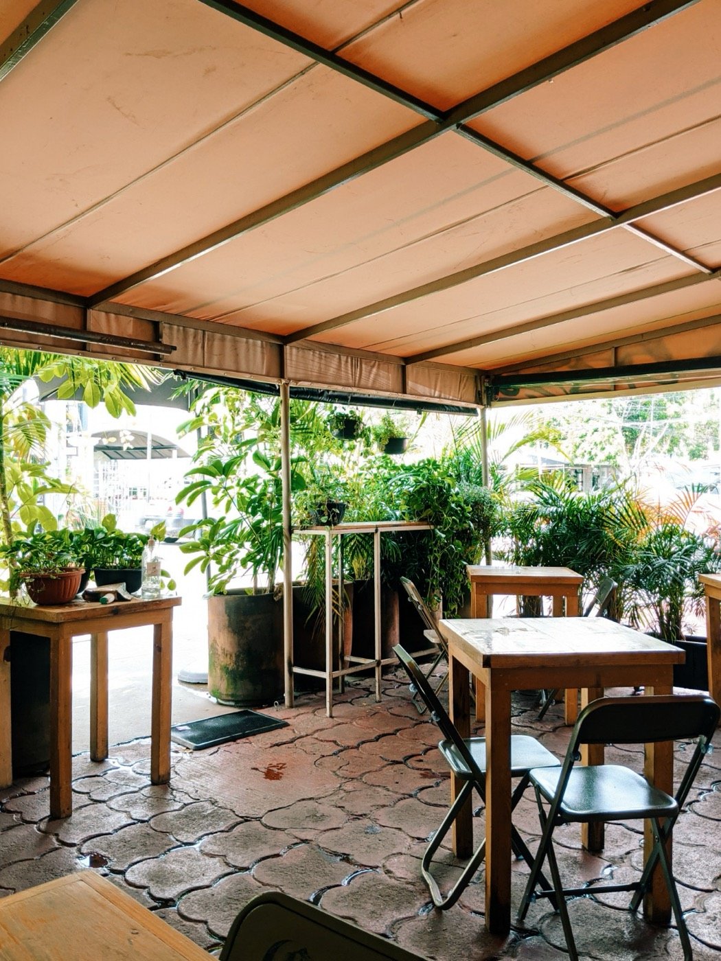 Terraza con plantas y mesas de madera